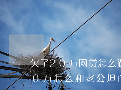 欠了20万网贷怎么跟老婆坦白(欠了网贷40万怎么和老公坦白)