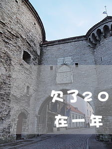 欠了20多萬(wàn)債務(wù)怎么在一年內(nèi)還上(欠債20多萬(wàn)要怎么才能還的清)