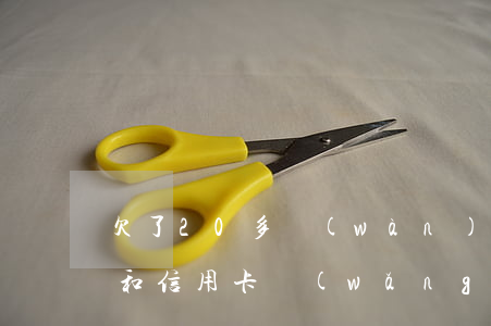 欠了20多萬(wàn)網(wǎng)貸和信用卡(網(wǎng)貸加信用卡欠款40萬(wàn))