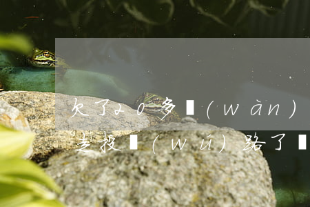 欠了20多萬(wàn)網(wǎng)貸走投無(wú)路了(網(wǎng)貸欠40萬(wàn)走投無(wú)路了)