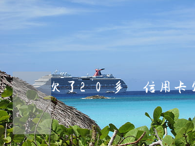 欠了20多萬信用卡(欠了20多萬信用卡)