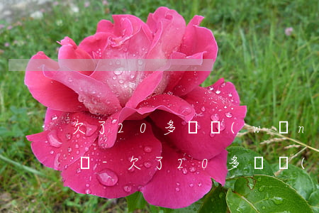 欠了20多萬網(wǎng)貸怎么和家人說-欠了20多萬網(wǎng)貸怎么和家人說還錢