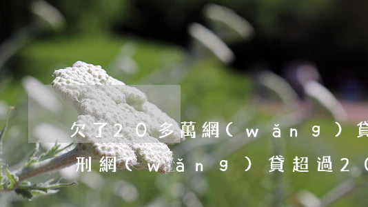 欠了20多萬網(wǎng)貸會不會被判刑(網(wǎng)貸超過20萬還不上判刑幾年)