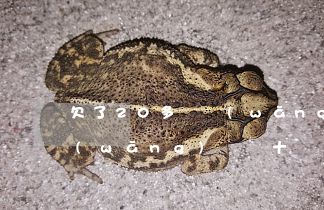 欠了20多萬網(wǎng)貸逾期1年(網(wǎng)貸幾十萬還不起逾期)