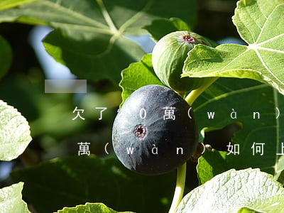 欠了20萬(wàn)如何上岸-欠了20萬(wàn)如何上岸上班