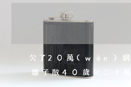 欠了20萬(wàn)網(wǎng)貸妻離子散40歲(欠二十萬(wàn)網(wǎng)貸)