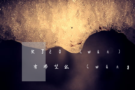 欠了20萬(wàn)網(wǎng)貸還有希望么(網(wǎng)貸欠款20萬(wàn))