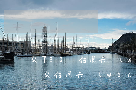 欠了20萬信用卡網(wǎng)貸可以逃嗎(欠信用卡網(wǎng)貸20萬怎么辦)