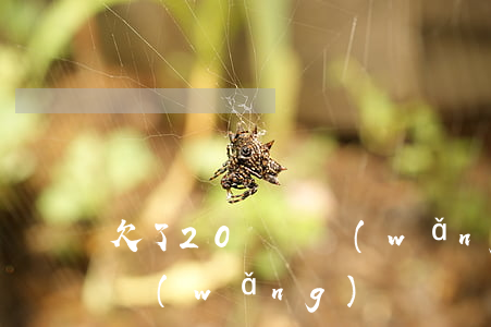 欠了20萬個網(wǎng)貸(欠了幾十萬網(wǎng)貸)
