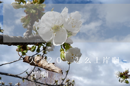 欠了20萬怎么上岸啊-欠了20萬怎么上岸啊