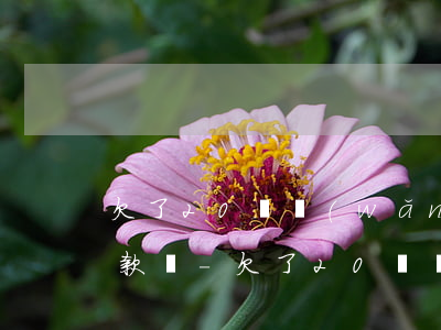 欠了20萬網(wǎng)貸可以找銀行貸款嗎-欠了20萬網(wǎng)貸可以找銀行貸款嗎知乎