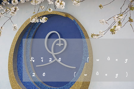 欠了20萬網(wǎng)貸干什么還債(欠20萬網(wǎng)貸怎么快還清)
