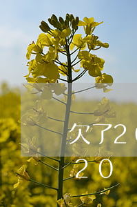 欠了20萬網(wǎng)貸要離婚了(欠了20萬網(wǎng)貸要離婚了)
