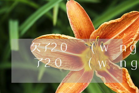 欠了20萬網(wǎng)貸這輩子完了(欠了20萬網(wǎng)貸這輩子完了)