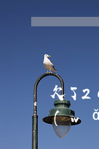 欠了20萬網(wǎng)貸還有希望么(網(wǎng)貸欠款20萬)