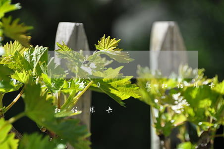 欠了20萬貸款和信用卡嗎(欠了20萬貸款和信用卡嗎)