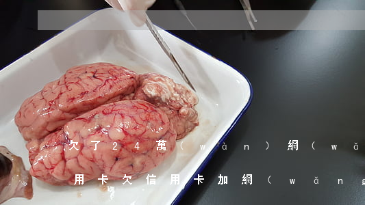 欠了24萬(wàn)網(wǎng)貸信用卡(欠信用卡加網(wǎng)貸總共三十萬(wàn))