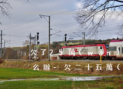 欠了25萬(wàn)走投無(wú)路怎么辦-欠二十五萬(wàn)走投無(wú)路 怎么辦