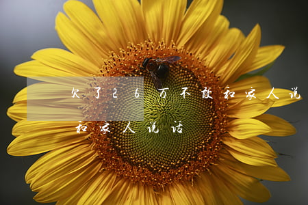 欠了26万不敢和家人说-欠了26万不敢和家人说话