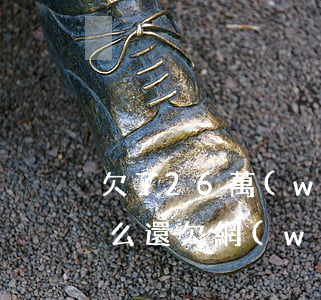 欠了26萬(wàn)網(wǎng)貸怎么還(欠網(wǎng)貸20多萬(wàn)怎么還)