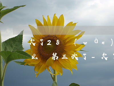 欠了28萬(wàn)網(wǎng)貸怎么辦第三次了-欠了28萬(wàn)網(wǎng)貸怎么辦第三次了還沒(méi)還