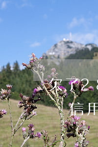 欠了28萬信用卡還不上怎么辦-欠了28萬信用卡還不上怎么辦呢