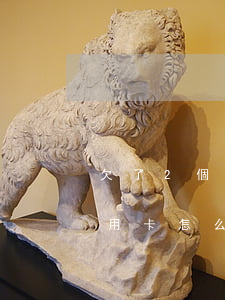欠了2個(gè)網(wǎng)貸3張信用卡怎么辦-欠了2個(gè)網(wǎng)貸3張信用卡怎么辦理