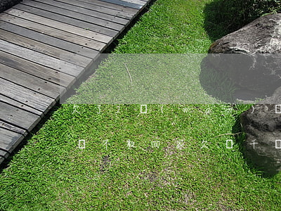 欠了2萬(wàn)網(wǎng)貸怎么辦不敢回家(欠兩千網(wǎng)貸沒(méi)還怎么辦)