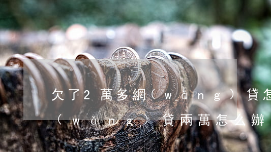 欠了2萬多網(wǎng)貸怎么處理(欠網(wǎng)貸兩萬怎么辦)