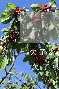欠了2萬網(wǎng)貸可以辦銀行卡么(欠了網(wǎng)貸可以辦銀行卡嗎)
