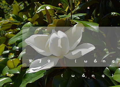 欠了2萬網(wǎng)貸如何上岸(欠了十幾萬網(wǎng)貸怎么上岸)