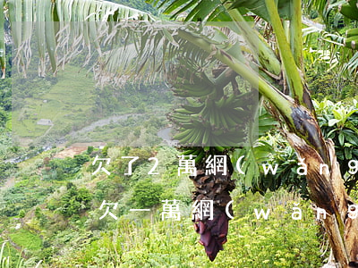 欠了2萬網(wǎng)貸想跟家里人坦白(欠一萬網(wǎng)貸怎么和家里坦白)