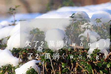欠了2萬網(wǎng)貸還不起怎么辦(欠了2萬網(wǎng)貸還不起怎么辦)