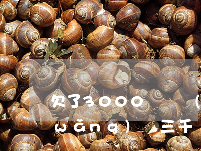 欠了3000塊錢網(wǎng)貸(欠網(wǎng)貸三千)