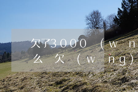 欠了3000網(wǎng)貸說要上門怎么辦(欠網(wǎng)貸三千多會(huì)上門嗎)