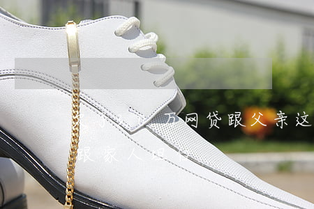 欠了30万网贷跟父亲这么说(欠网贷30万跟家人坦白)