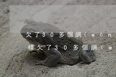 欠了30多個網(wǎng)貸不還會怎么樣(欠了30多個網(wǎng)貸不還會怎么樣)