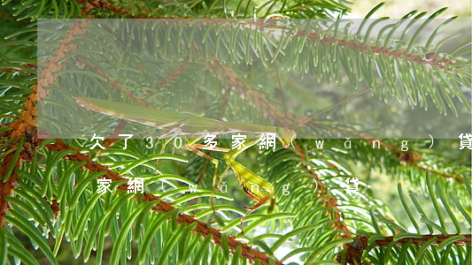 欠了30多家網(wǎng)貸(欠了30多家網(wǎng)貸)