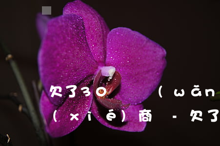 欠了30幾萬網(wǎng)貸沒逾期能協(xié)商嗎-欠了30幾萬網(wǎng)貸沒逾期能協(xié)商嗎怎么辦
