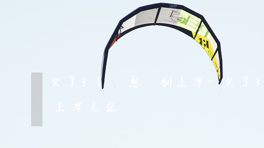 欠了30萬想強制上岸-欠了30萬想強制上岸怎么辦