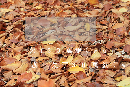 欠了30萬網(wǎng)貸還不上了怎么辦-欠了30萬網(wǎng)貸還不上會坐牢嗎?
