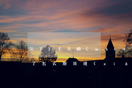 欠了3千元網(wǎng)貸預(yù)期了怎么辦(我現(xiàn)在欠三萬(wàn)的網(wǎng)貸怎么辦)