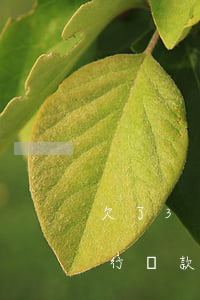 欠了3萬(wàn)網(wǎng)貸去銀行貸款還可以嗎-欠了3萬(wàn)網(wǎng)貸去銀行貸款還可以嗎知乎
