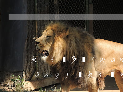 欠了3萬多網(wǎng)貸怎么辦(網(wǎng)貸欠3萬可怕嗎)
