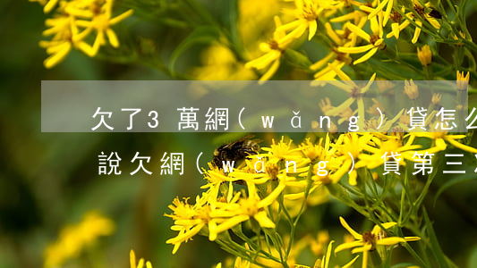 欠了3萬網(wǎng)貸怎么回家跟父母說(欠網(wǎng)貸第三次該怎么和家里人說)