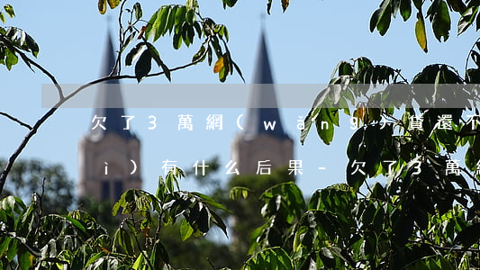 欠了3萬網(wǎng)貸還不上會(huì)有什么后果-欠了3萬網(wǎng)貸還不上會(huì)有什么后果嗎