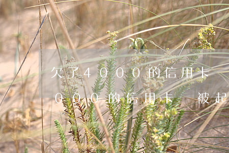 欠了4000的信用卡會被起訴嗎-欠了4000的信用卡會被起訴嗎知乎