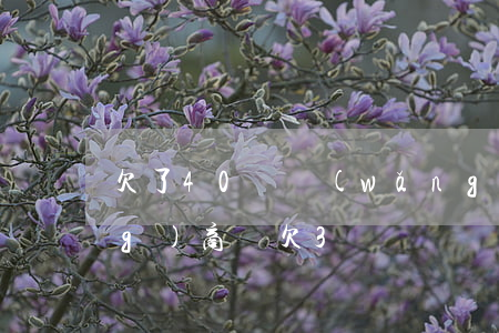 欠了40萬網(wǎng)商貸(網(wǎng)商貸欠3萬)