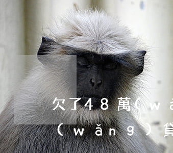 欠了48萬(wàn)網(wǎng)貸(網(wǎng)貸欠了40多萬(wàn))