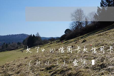 欠了4w信用卡(欠信用卡四萬(wàn)會(huì)坐牢嗎)